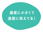 適度に小さくて 適度に栄えてる！